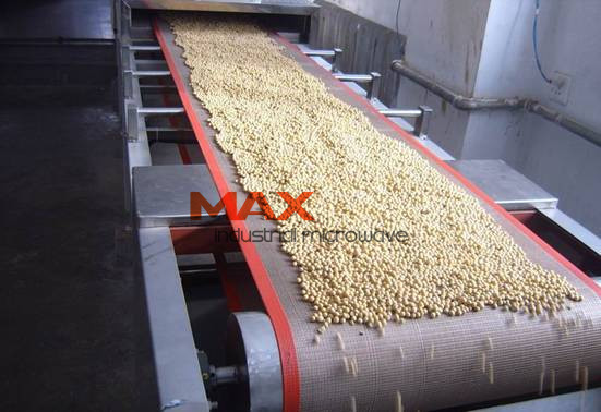 Microwave Soybean Cooking and Roasting Machine